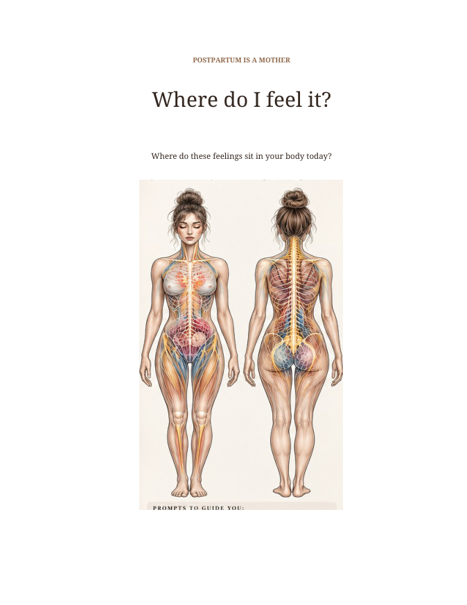 An anatomy sketch to mark where feelings live in the body