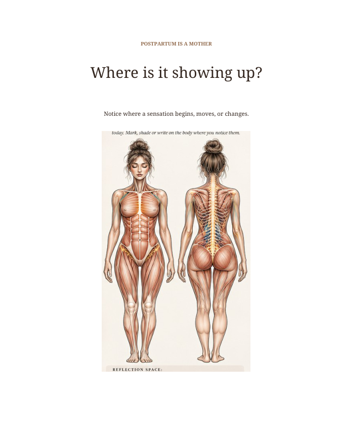 An anatomy sketch to identify where sensations are felt